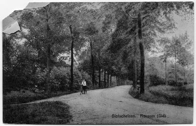 19-10014 Jongen met fiets op Slotselaan bij pad naar Slotsestoep